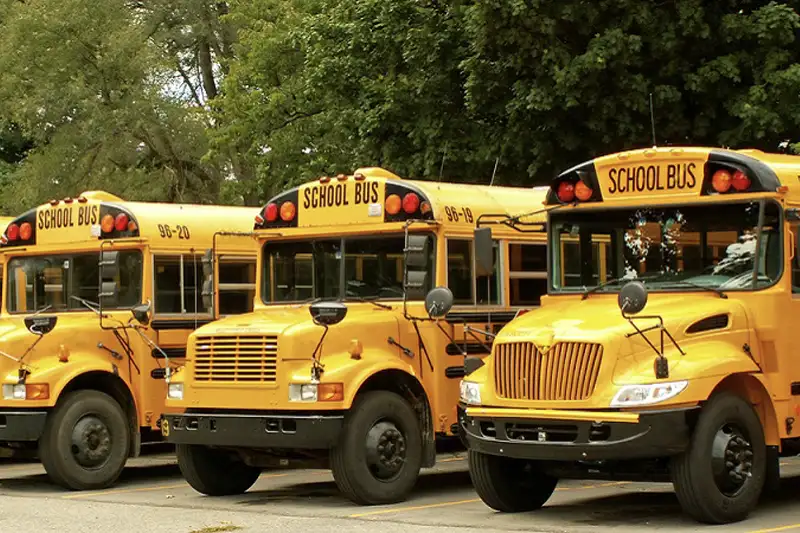 School Bus Fleet